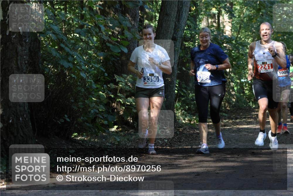 28.09.2025 - 33. Volkslauf durch das schöne Alstertal Strokosch-Dieckow http://msf.ph/oto/8970256 28.09.2025 11:47:15 Laufen 3390, 3389, 2241, 1009 meine-sportfotos.de