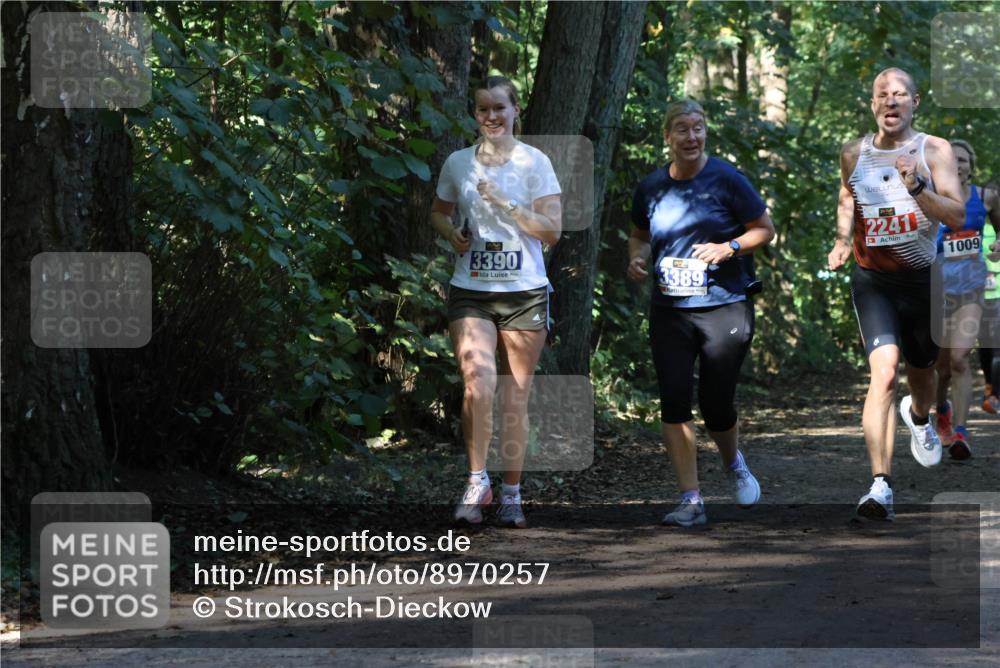 28.09.2025 - 33. Volkslauf durch das schöne Alstertal Strokosch-Dieckow http://msf.ph/oto/8970257 28.09.2025 11:47:16 Laufen 3390, 3389, 2241, 1009 meine-sportfotos.de