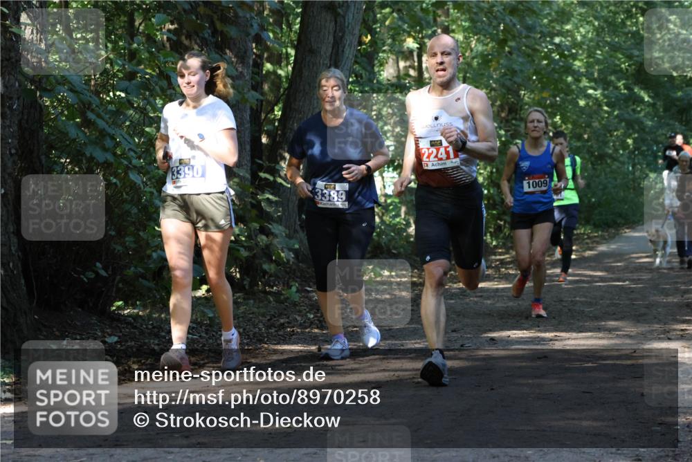 28.09.2025 - 33. Volkslauf durch das schöne Alstertal Strokosch-Dieckow http://msf.ph/oto/8970258 28.09.2025 11:47:16 Laufen 3390, 3389, 2241, 1009 meine-sportfotos.de
