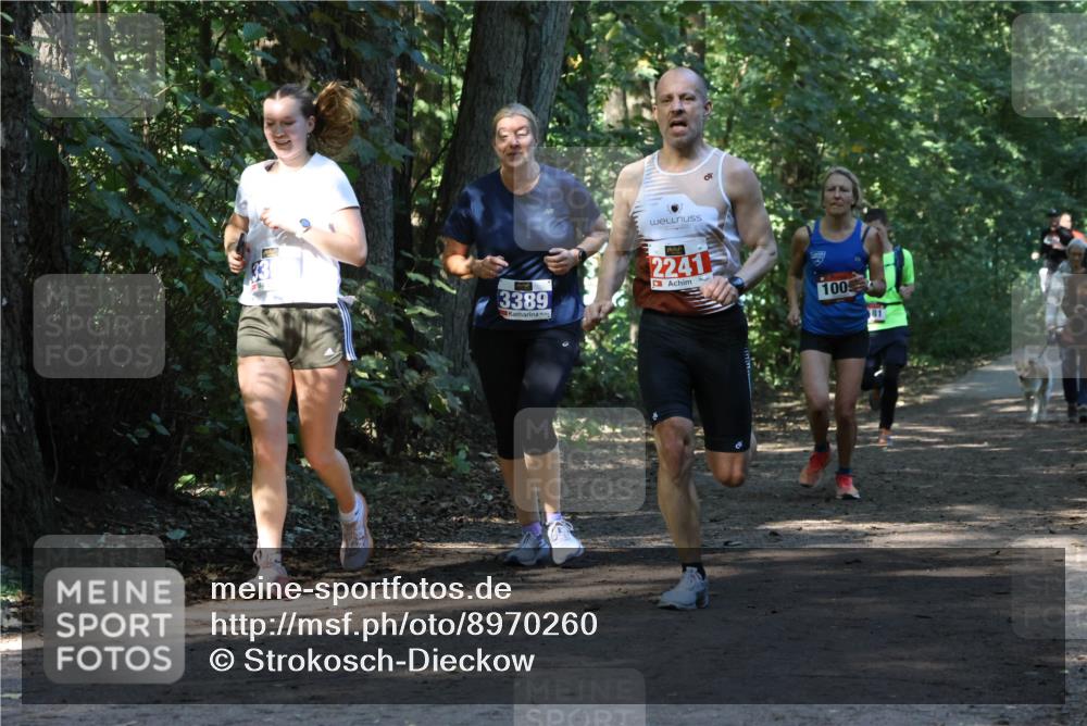 28.09.2025 - 33. Volkslauf durch das schöne Alstertal Strokosch-Dieckow http://msf.ph/oto/8970260 28.09.2025 11:47:16 Laufen 3389, 2241, 100, 81 meine-sportfotos.de