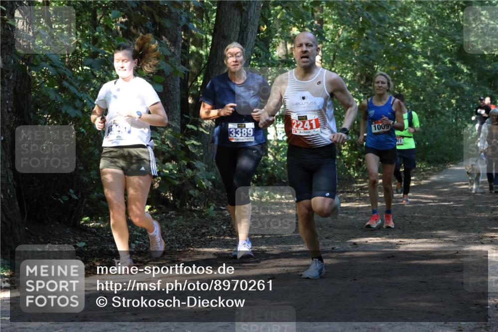 28.09.2025 - 33. Volkslauf durch das schöne Alstertal Strokosch-Dieckow http://msf.ph/oto/8970261 28.09.2025 11:47:16 Laufen 3389, 2241, 1009 meine-sportfotos.de
