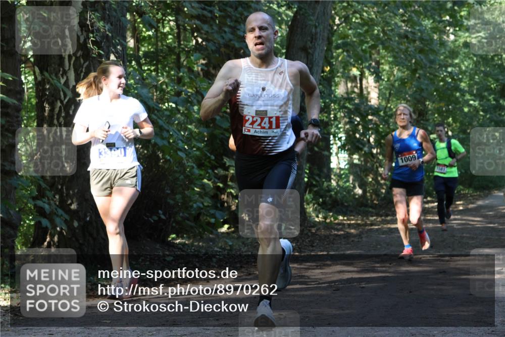 28.09.2025 - 33. Volkslauf durch das schöne Alstertal Strokosch-Dieckow http://msf.ph/oto/8970262 28.09.2025 11:47:17 Laufen 2241, 1009, 1581 meine-sportfotos.de