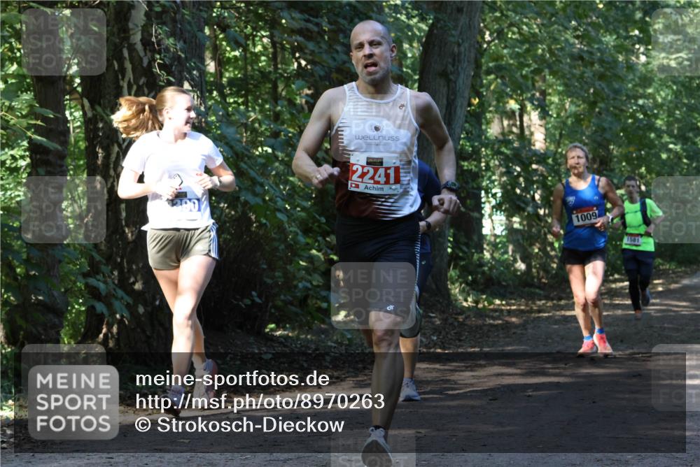 28.09.2025 - 33. Volkslauf durch das schöne Alstertal Strokosch-Dieckow http://msf.ph/oto/8970263 28.09.2025 11:47:17 Laufen 2241, 1009, 1581 meine-sportfotos.de