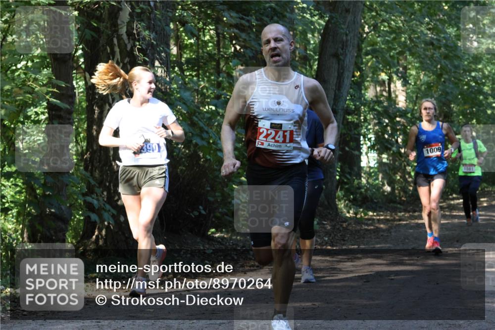 28.09.2025 - 33. Volkslauf durch das schöne Alstertal Strokosch-Dieckow http://msf.ph/oto/8970264 28.09.2025 11:47:18 Laufen 2241, 1009, 1581 meine-sportfotos.de