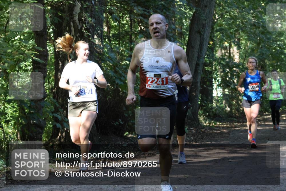 28.09.2025 - 33. Volkslauf durch das schöne Alstertal Strokosch-Dieckow http://msf.ph/oto/8970265 28.09.2025 11:47:18 Laufen 3390, 2241, 1009, 151 meine-sportfotos.de