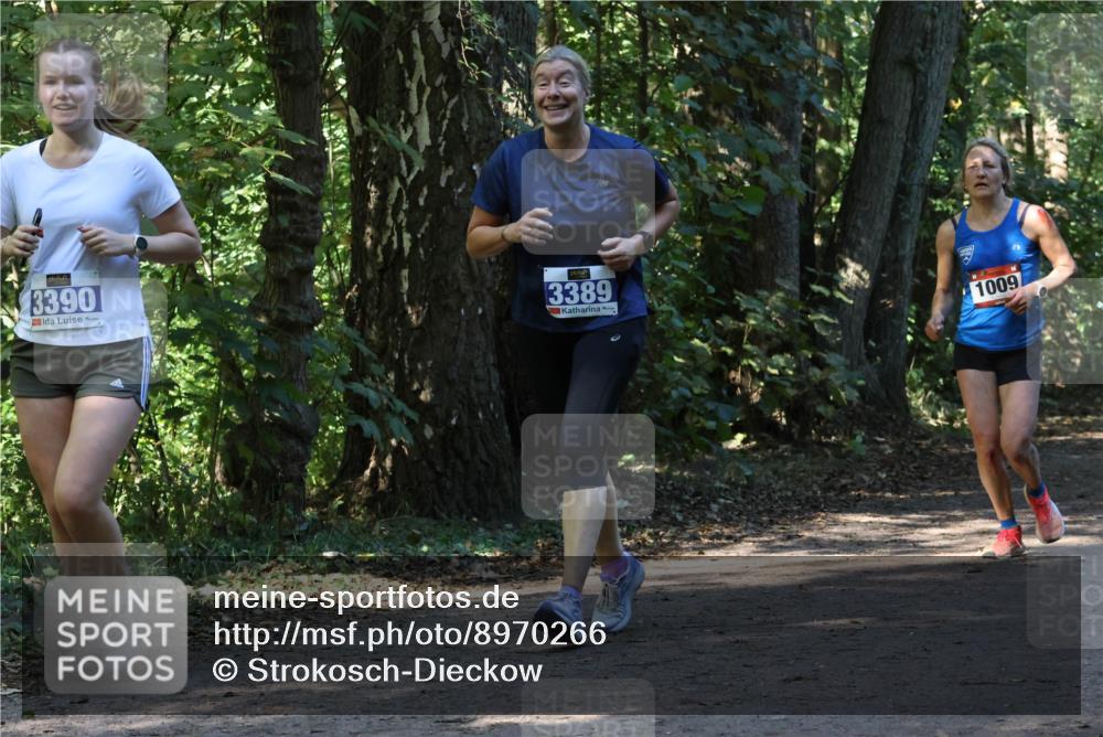 28.09.2025 - 33. Volkslauf durch das schöne Alstertal Strokosch-Dieckow http://msf.ph/oto/8970266 28.09.2025 11:47:19 Laufen 3390, 3389, 1009 meine-sportfotos.de