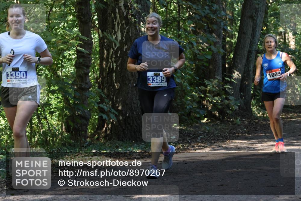 28.09.2025 - 33. Volkslauf durch das schöne Alstertal Strokosch-Dieckow http://msf.ph/oto/8970267 28.09.2025 11:47:19 Laufen 3390, 3389, 1009 meine-sportfotos.de