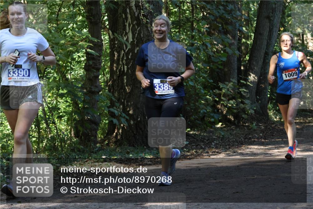 28.09.2025 - 33. Volkslauf durch das schöne Alstertal Strokosch-Dieckow http://msf.ph/oto/8970268 28.09.2025 11:47:19 Laufen 3390, 3385, 1009 meine-sportfotos.de