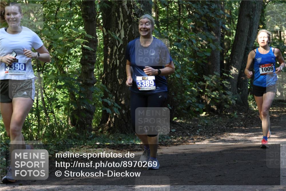 28.09.2025 - 33. Volkslauf durch das schöne Alstertal Strokosch-Dieckow http://msf.ph/oto/8970269 28.09.2025 11:47:19 Laufen 3390, 3389, 1009 meine-sportfotos.de