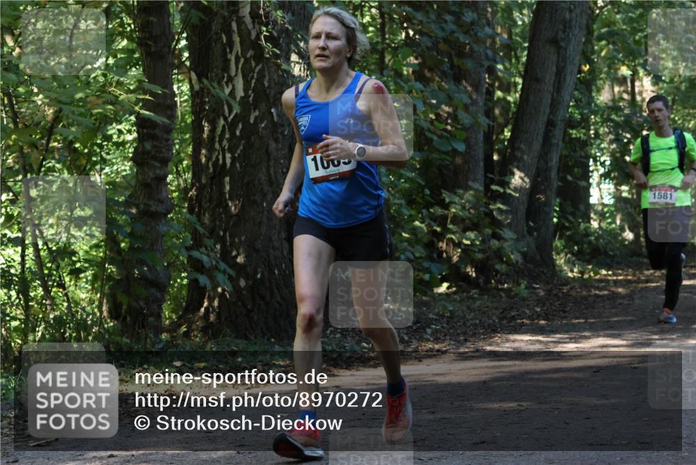28.09.2025 - 33. Volkslauf durch das schöne Alstertal Strokosch-Dieckow http://msf.ph/oto/8970272 28.09.2025 11:47:21 Laufen 1609, 1581 meine-sportfotos.de