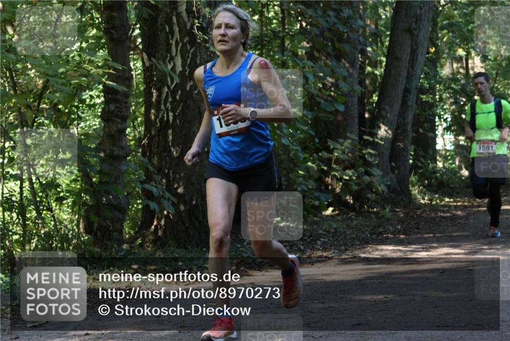 28.09.2025 - 33. Volkslauf durch das schöne Alstertal Strokosch-Dieckow http://msf.ph/oto/8970273 28.09.2025 11:47:21 Laufen 1581 meine-sportfotos.de