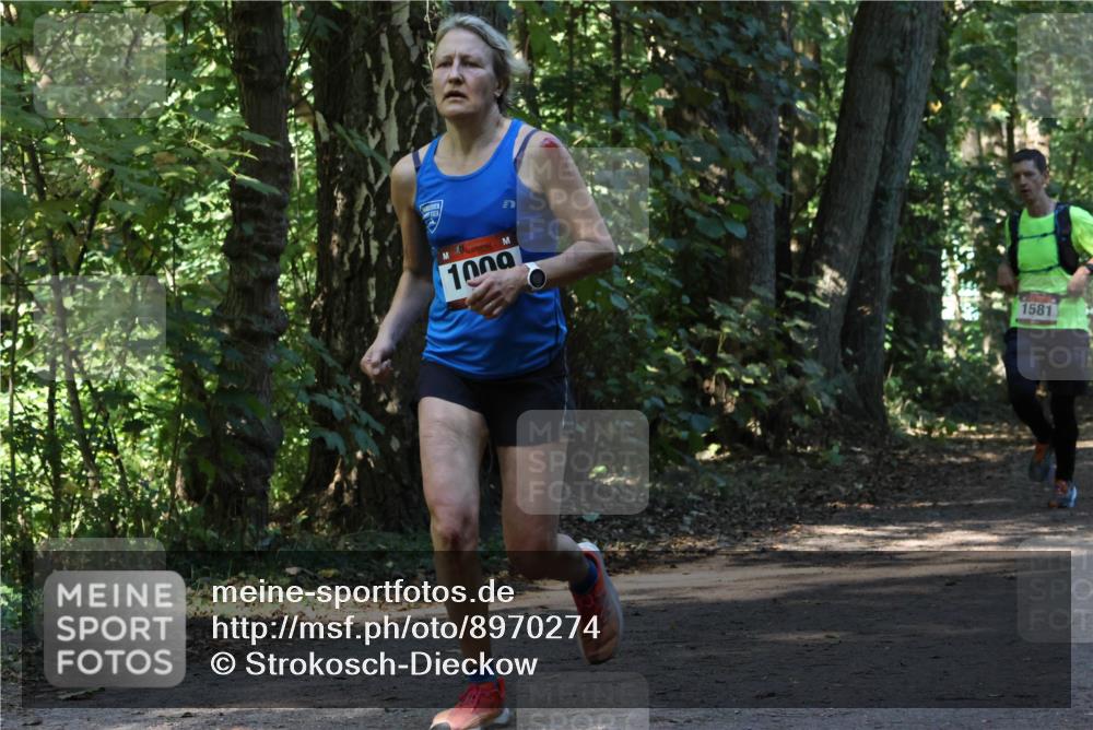 28.09.2025 - 33. Volkslauf durch das schöne Alstertal Strokosch-Dieckow http://msf.ph/oto/8970274 28.09.2025 11:47:21 Laufen 1000, 1581 meine-sportfotos.de