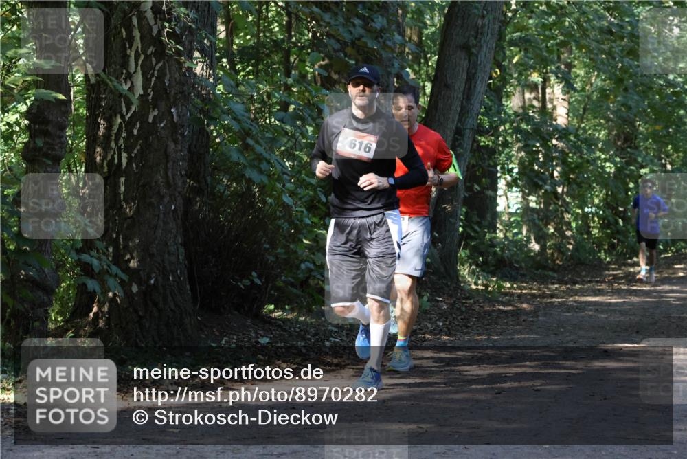 28.09.2025 - 33. Volkslauf durch das schöne Alstertal Strokosch-Dieckow http://msf.ph/oto/8970282 28.09.2025 11:47:31 Laufen 1616 meine-sportfotos.de