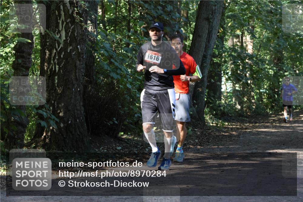 28.09.2025 - 33. Volkslauf durch das schöne Alstertal Strokosch-Dieckow http://msf.ph/oto/8970284 28.09.2025 11:47:31 Laufen 1616 meine-sportfotos.de