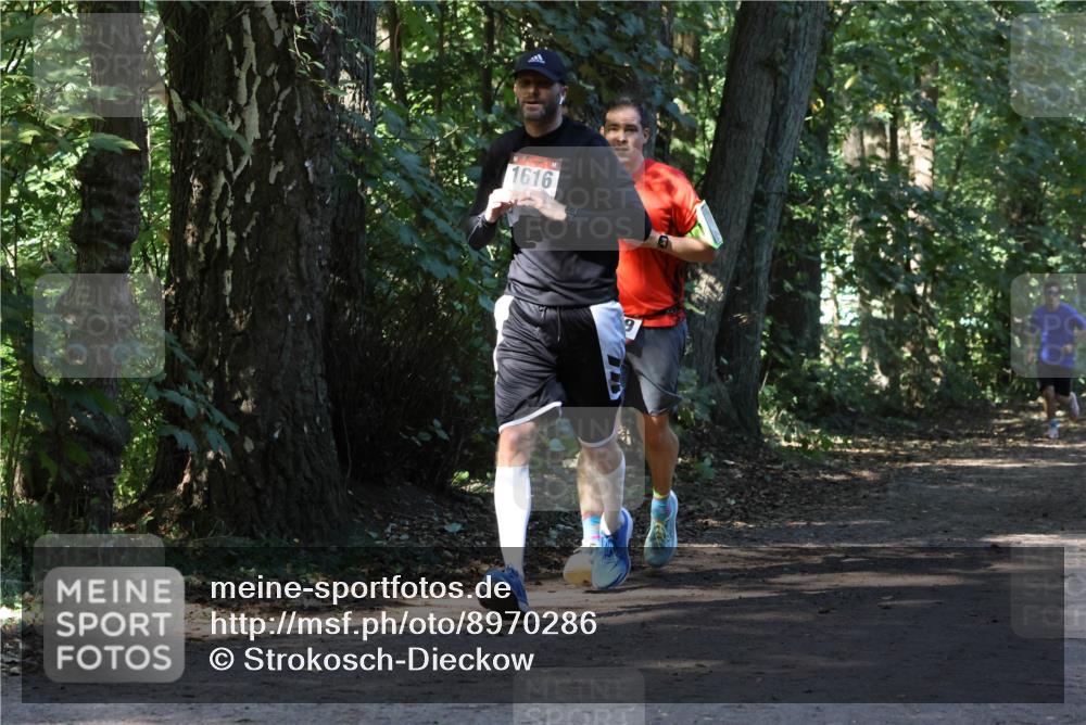 28.09.2025 - 33. Volkslauf durch das schöne Alstertal Strokosch-Dieckow http://msf.ph/oto/8970286 28.09.2025 11:47:31 Laufen 1616 meine-sportfotos.de