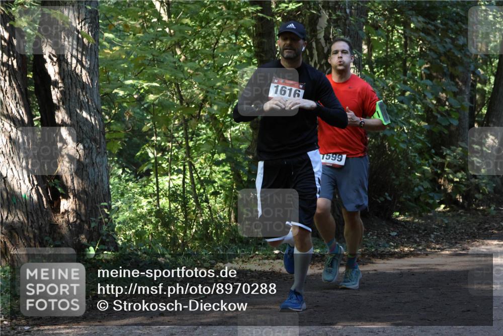 28.09.2025 - 33. Volkslauf durch das schöne Alstertal Strokosch-Dieckow http://msf.ph/oto/8970288 28.09.2025 11:47:33 Laufen 1616, 7599 meine-sportfotos.de