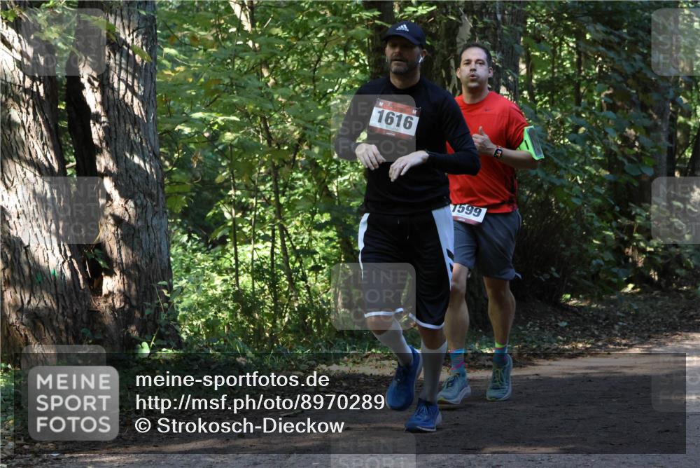 28.09.2025 - 33. Volkslauf durch das schöne Alstertal Strokosch-Dieckow http://msf.ph/oto/8970289 28.09.2025 11:47:33 Laufen 1616, 1599 meine-sportfotos.de