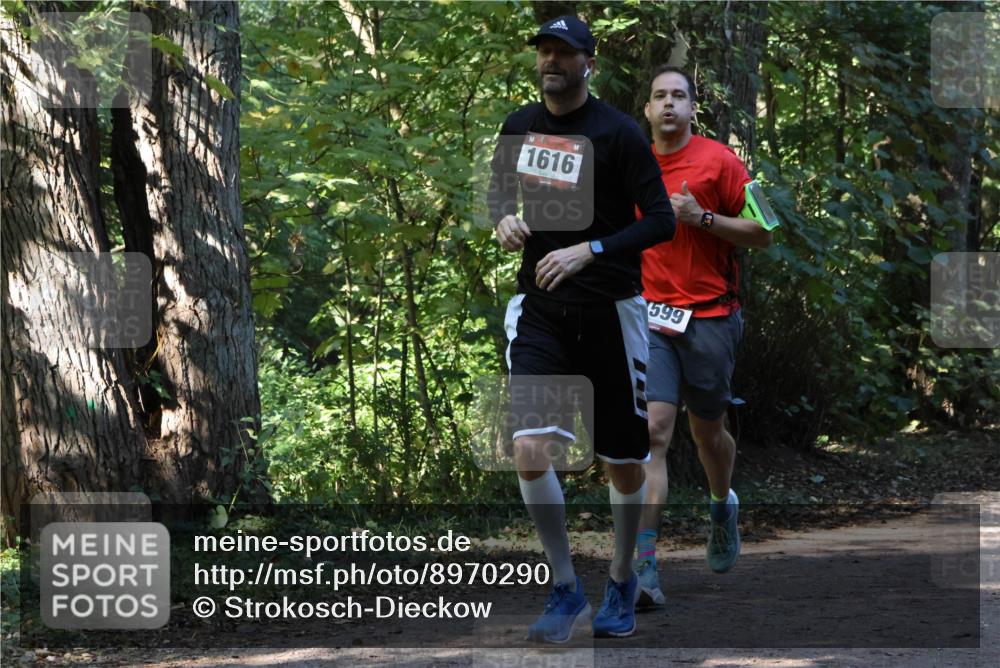 28.09.2025 - 33. Volkslauf durch das schöne Alstertal Strokosch-Dieckow http://msf.ph/oto/8970290 28.09.2025 11:47:33 Laufen 1616, 599 meine-sportfotos.de