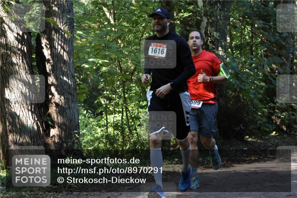 28.09.2025 - 33. Volkslauf durch das schöne Alstertal Strokosch-Dieckow http://msf.ph/oto/8970291 28.09.2025 11:47:33 Laufen 1616, 599 meine-sportfotos.de