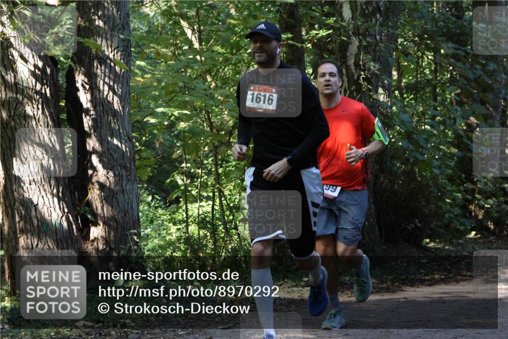 28.09.2025 - 33. Volkslauf durch das schöne Alstertal Strokosch-Dieckow http://msf.ph/oto/8970292 28.09.2025 11:47:33 Laufen 1616, 99 meine-sportfotos.de