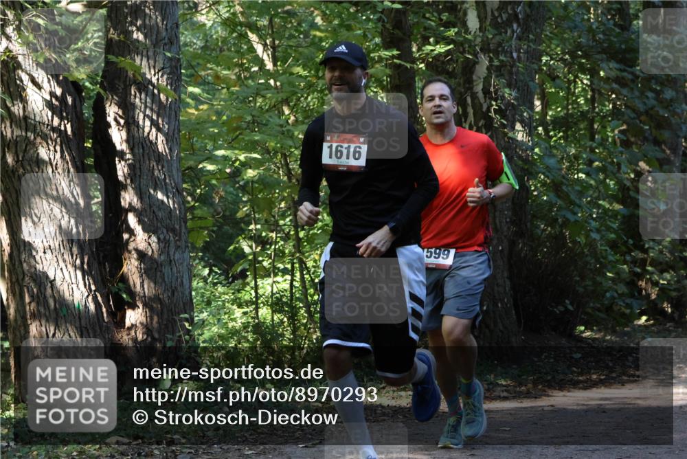 28.09.2025 - 33. Volkslauf durch das schöne Alstertal Strokosch-Dieckow http://msf.ph/oto/8970293 28.09.2025 11:47:33 Laufen 1616, 599 meine-sportfotos.de