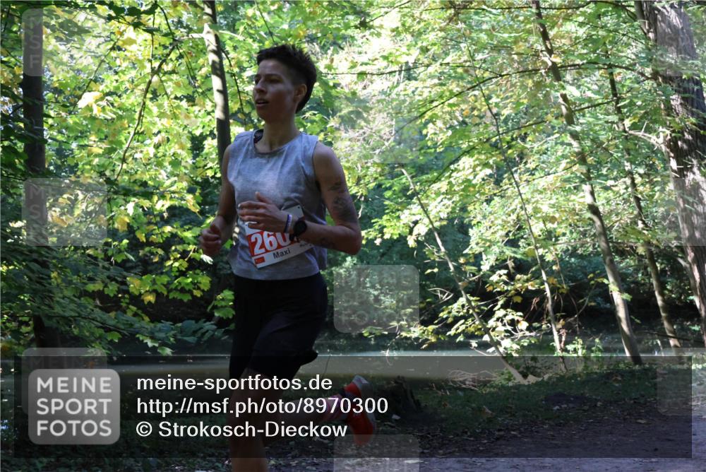 28.09.2025 - 33. Volkslauf durch das schöne Alstertal Strokosch-Dieckow http://msf.ph/oto/8970300 28.09.2025 11:47:45 Laufen 260 meine-sportfotos.de
