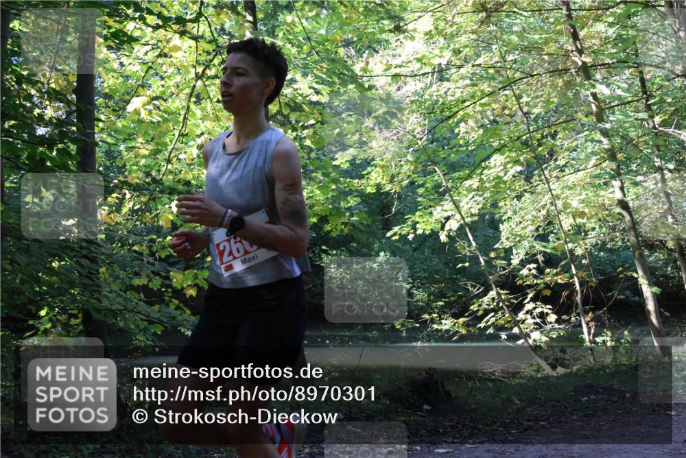 28.09.2025 - 33. Volkslauf durch das schöne Alstertal Strokosch-Dieckow http://msf.ph/oto/8970301 28.09.2025 11:47:45 Laufen 26 meine-sportfotos.de