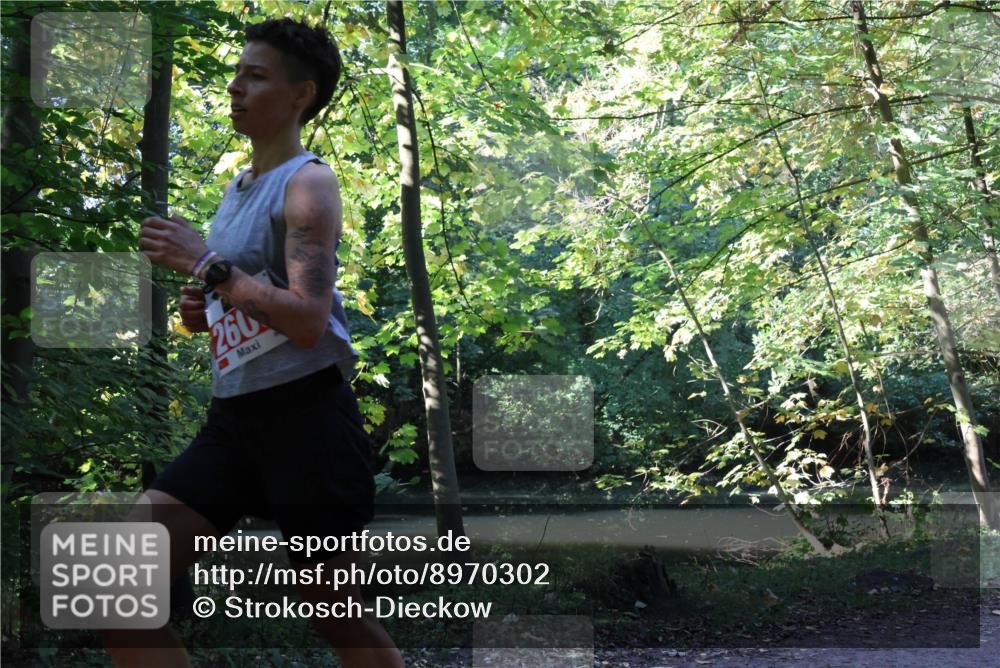 28.09.2025 - 33. Volkslauf durch das schöne Alstertal Strokosch-Dieckow http://msf.ph/oto/8970302 28.09.2025 11:47:45 Laufen 260 meine-sportfotos.de