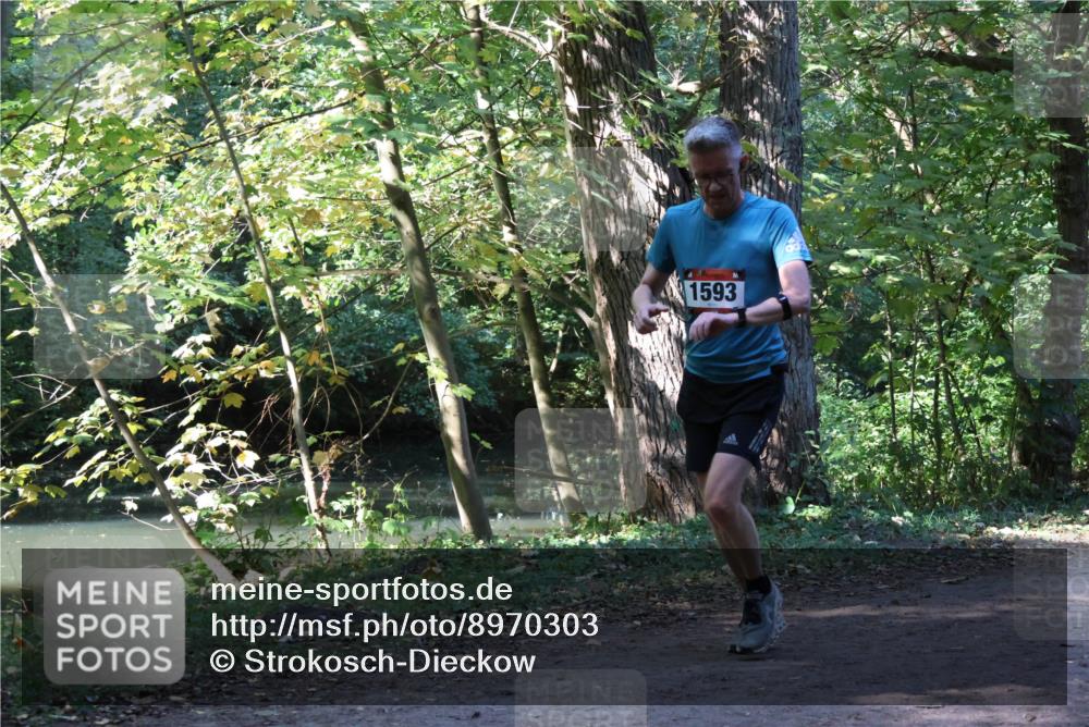 28.09.2025 - 33. Volkslauf durch das schöne Alstertal Strokosch-Dieckow http://msf.ph/oto/8970303 28.09.2025 11:47:53 Laufen 1593 meine-sportfotos.de