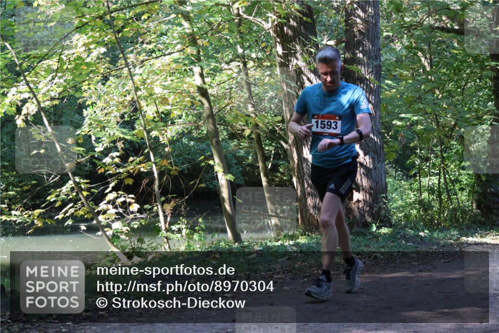28.09.2025 - 33. Volkslauf durch das schöne Alstertal Strokosch-Dieckow http://msf.ph/oto/8970304 28.09.2025 11:47:53 Laufen 1593 meine-sportfotos.de