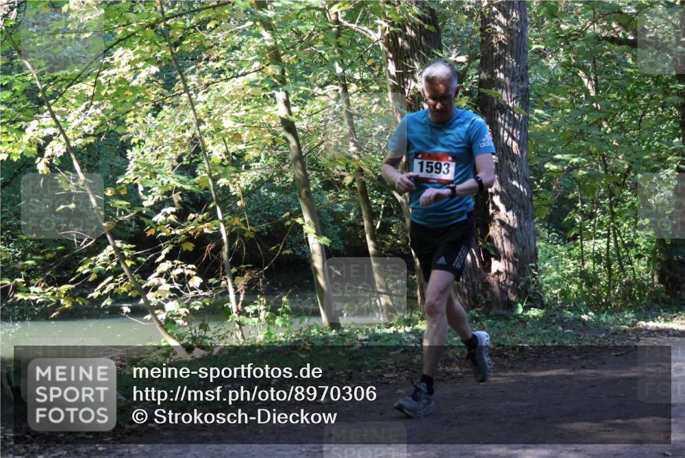 28.09.2025 - 33. Volkslauf durch das schöne Alstertal Strokosch-Dieckow http://msf.ph/oto/8970306 28.09.2025 11:47:53 Laufen 1593 meine-sportfotos.de