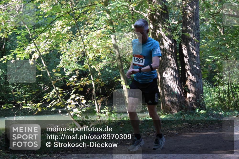 28.09.2025 - 33. Volkslauf durch das schöne Alstertal Strokosch-Dieckow http://msf.ph/oto/8970309 28.09.2025 11:47:54 Laufen 1593 meine-sportfotos.de