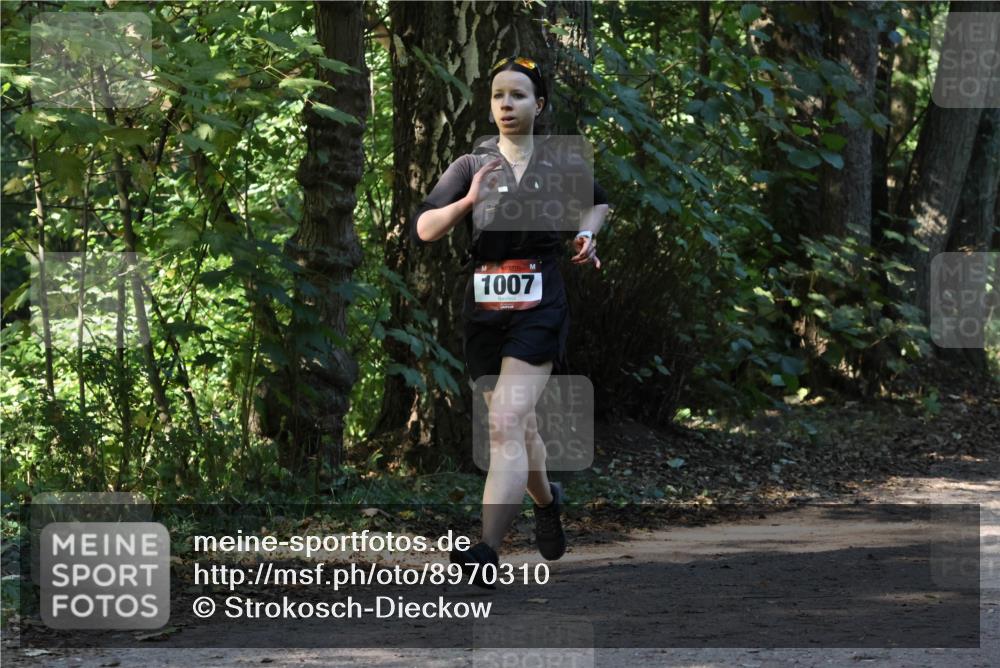 28.09.2025 - 33. Volkslauf durch das schöne Alstertal Strokosch-Dieckow http://msf.ph/oto/8970310 28.09.2025 11:48:02 Laufen 1007 meine-sportfotos.de
