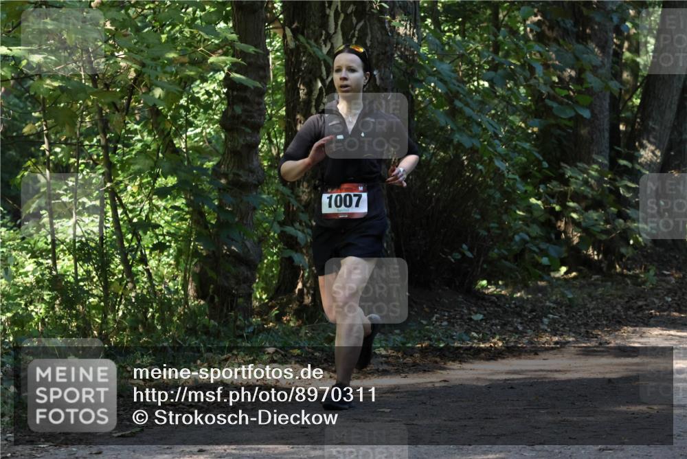 28.09.2025 - 33. Volkslauf durch das schöne Alstertal Strokosch-Dieckow http://msf.ph/oto/8970311 28.09.2025 11:48:02 Laufen 1007 meine-sportfotos.de