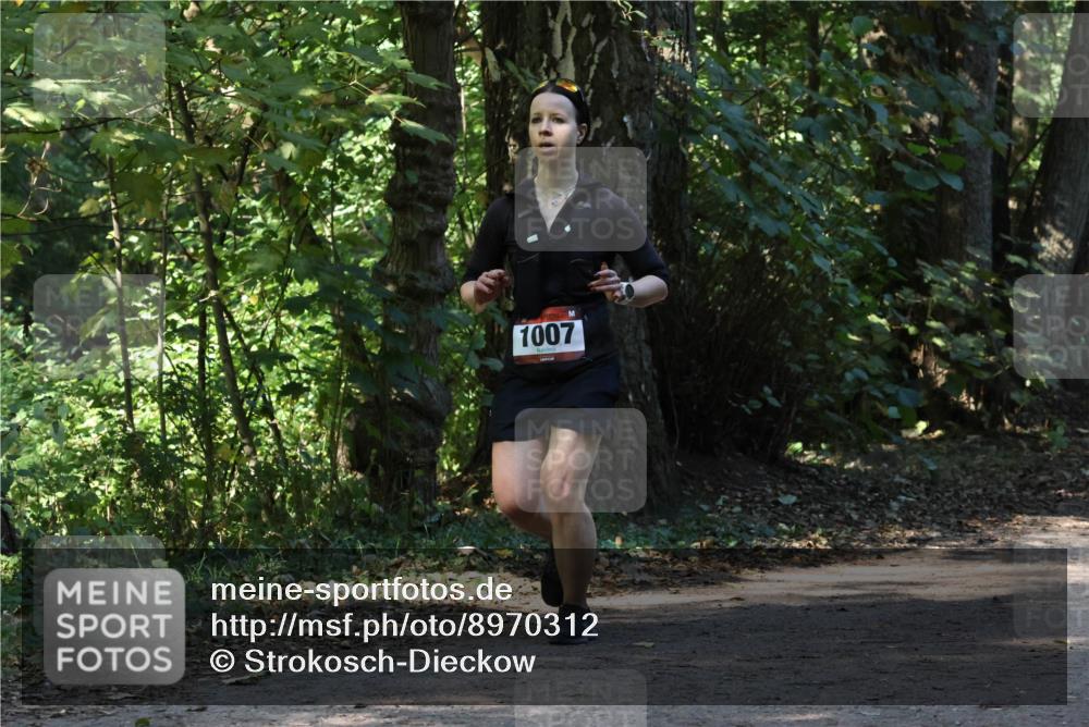 28.09.2025 - 33. Volkslauf durch das schöne Alstertal Strokosch-Dieckow http://msf.ph/oto/8970312 28.09.2025 11:48:02 Laufen 1007 meine-sportfotos.de