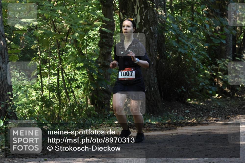 28.09.2025 - 33. Volkslauf durch das schöne Alstertal Strokosch-Dieckow http://msf.ph/oto/8970313 28.09.2025 11:48:02 Laufen 1007 meine-sportfotos.de