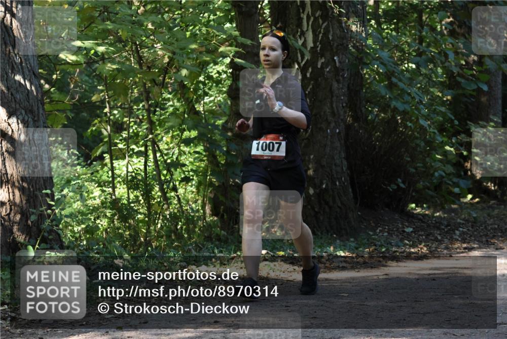 28.09.2025 - 33. Volkslauf durch das schöne Alstertal Strokosch-Dieckow http://msf.ph/oto/8970314 28.09.2025 11:48:03 Laufen 1007 meine-sportfotos.de
