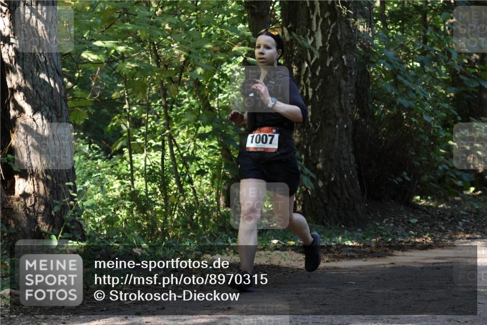 28.09.2025 - 33. Volkslauf durch das schöne Alstertal Strokosch-Dieckow http://msf.ph/oto/8970315 28.09.2025 11:48:03 Laufen 1007 meine-sportfotos.de