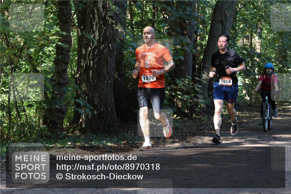 28.09.2025 - 33. Volkslauf durch das schöne Alstertal Strokosch-Dieckow http://msf.ph/oto/8970318 28.09.2025 11:48:21 Laufen 1570, 1614 meine-sportfotos.de