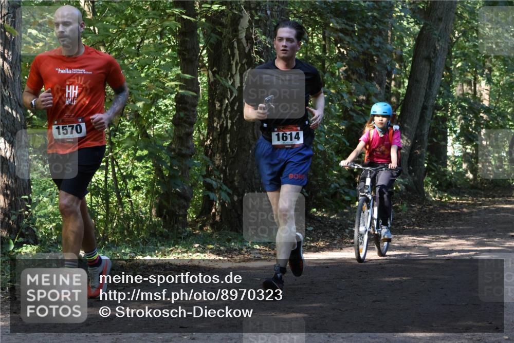 28.09.2025 - 33. Volkslauf durch das schöne Alstertal Strokosch-Dieckow http://msf.ph/oto/8970323 28.09.2025 11:48:23 Laufen 1570, 1614 meine-sportfotos.de