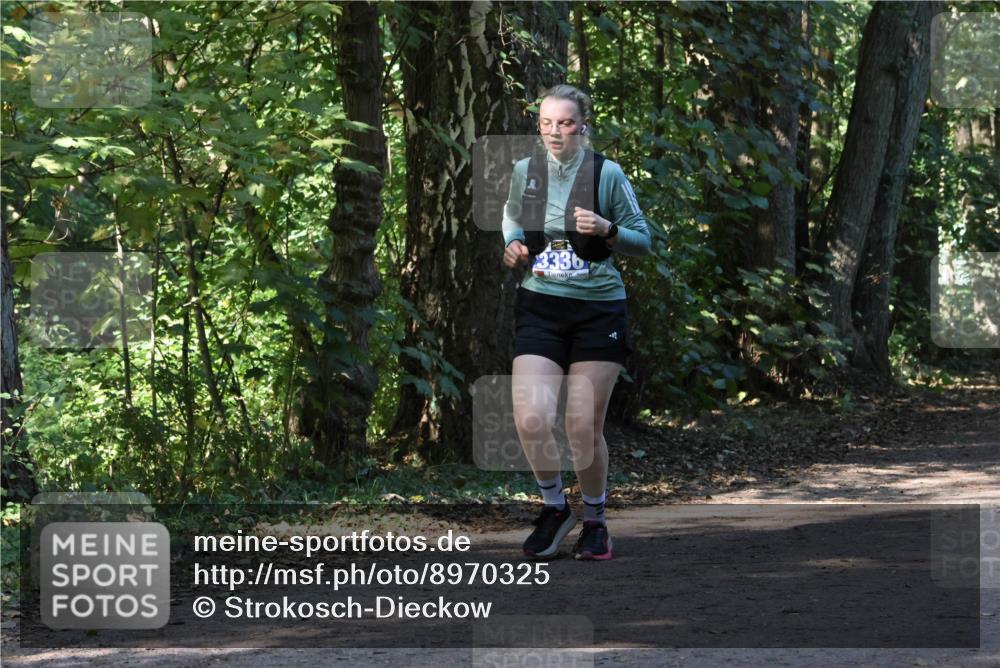 28.09.2025 - 33. Volkslauf durch das schöne Alstertal Strokosch-Dieckow http://msf.ph/oto/8970325 28.09.2025 11:48:36 Laufen 3336 meine-sportfotos.de