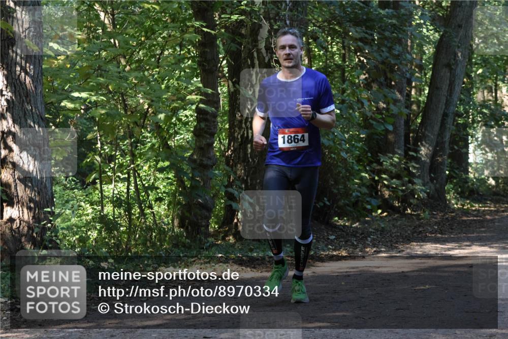 28.09.2025 - 33. Volkslauf durch das schöne Alstertal Strokosch-Dieckow http://msf.ph/oto/8970334 28.09.2025 11:48:42 Laufen 1864 meine-sportfotos.de