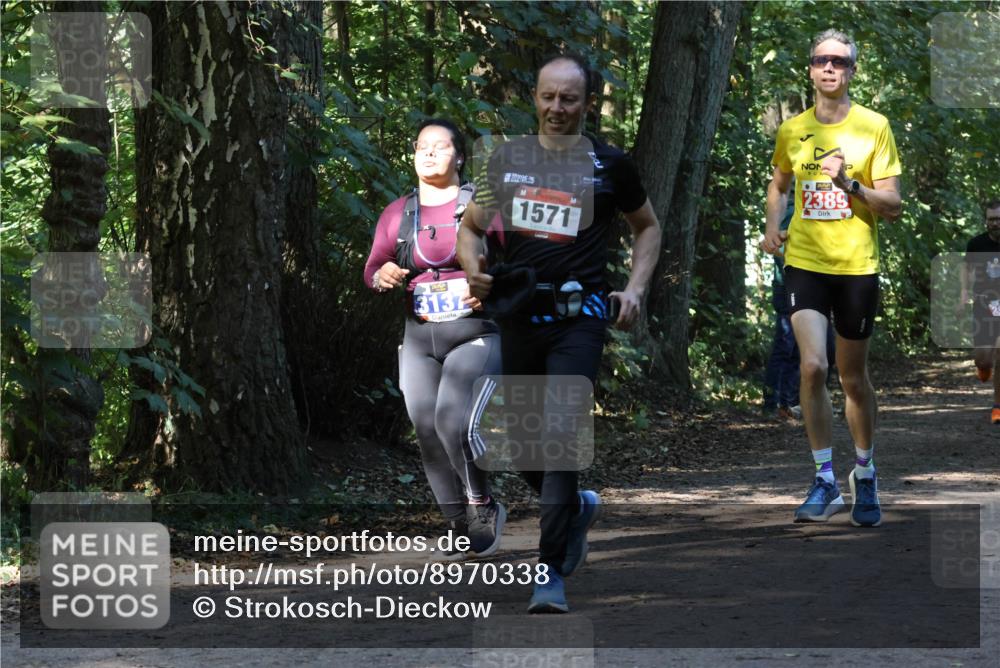 28.09.2025 - 33. Volkslauf durch das schöne Alstertal Strokosch-Dieckow http://msf.ph/oto/8970338 28.09.2025 11:48:51 Laufen 3137, 1571, 2389 meine-sportfotos.de
