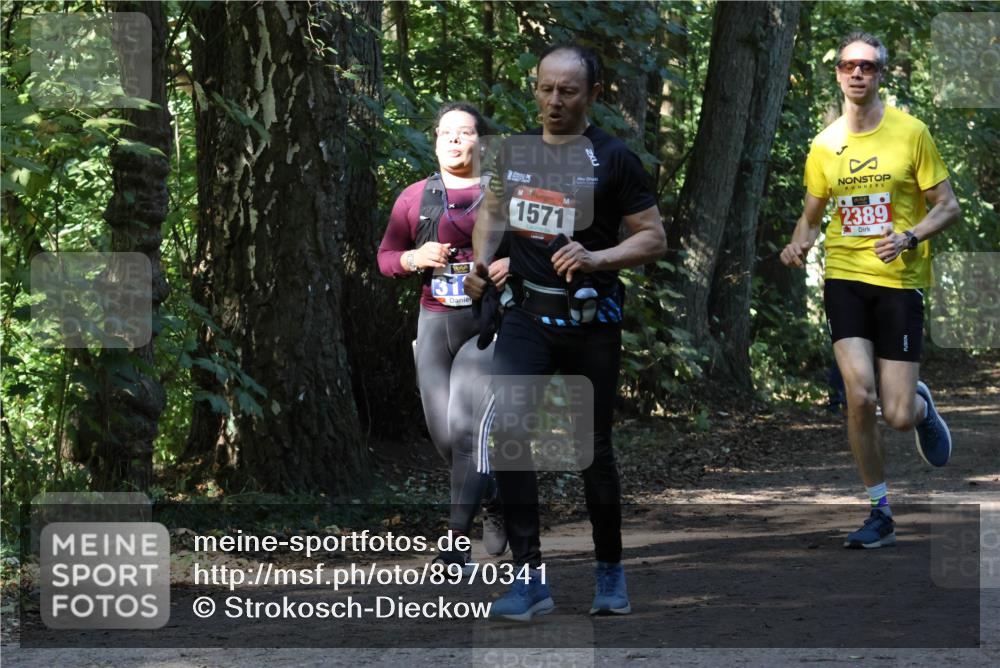 28.09.2025 - 33. Volkslauf durch das schöne Alstertal Strokosch-Dieckow http://msf.ph/oto/8970341 28.09.2025 11:48:51 Laufen 316, 1571, 2389 meine-sportfotos.de