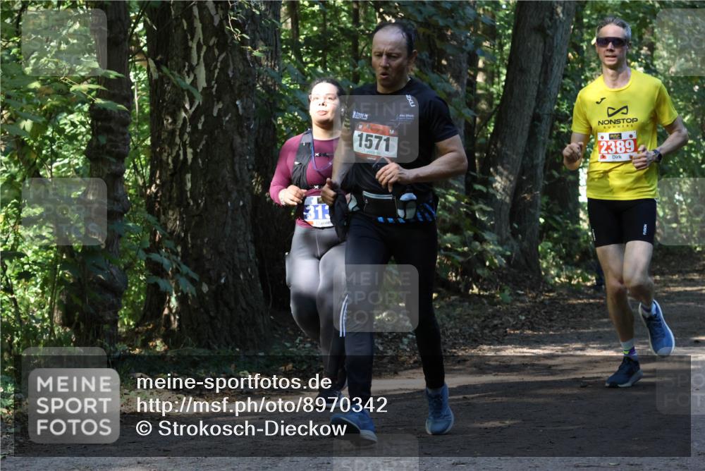 28.09.2025 - 33. Volkslauf durch das schöne Alstertal Strokosch-Dieckow http://msf.ph/oto/8970342 28.09.2025 11:48:51 Laufen 31, 1571, 2389 meine-sportfotos.de