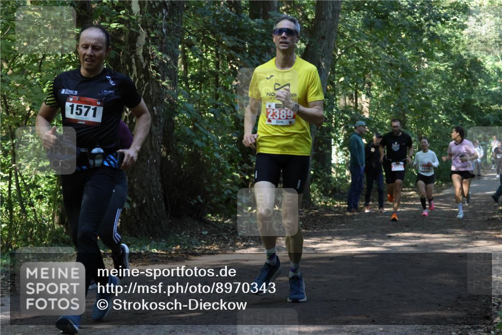 28.09.2025 - 33. Volkslauf durch das schöne Alstertal Strokosch-Dieckow http://msf.ph/oto/8970343 28.09.2025 11:48:52 Laufen 1571, 2389, 2995, 1010 meine-sportfotos.de