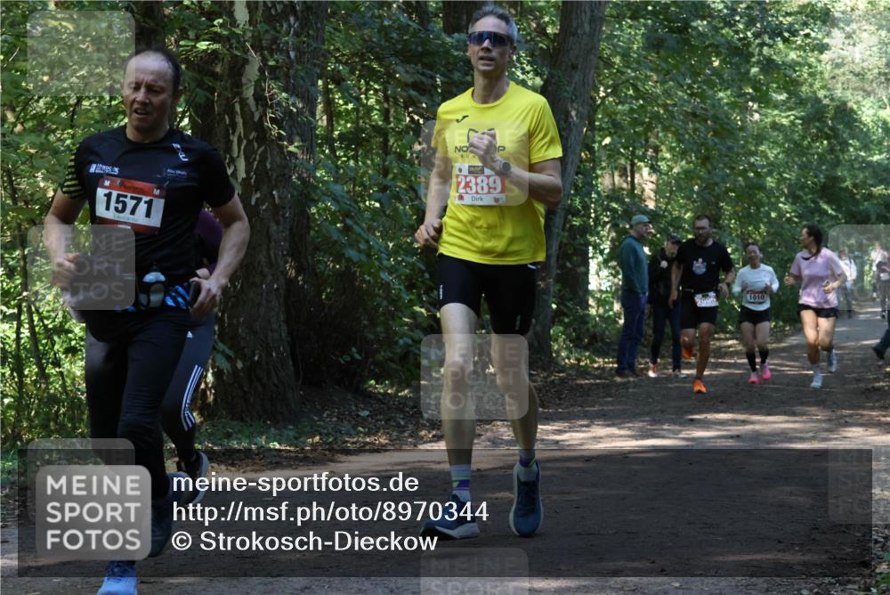 28.09.2025 - 33. Volkslauf durch das schöne Alstertal Strokosch-Dieckow http://msf.ph/oto/8970344 28.09.2025 11:48:52 Laufen 1571, 2389, 2995, 1010 meine-sportfotos.de