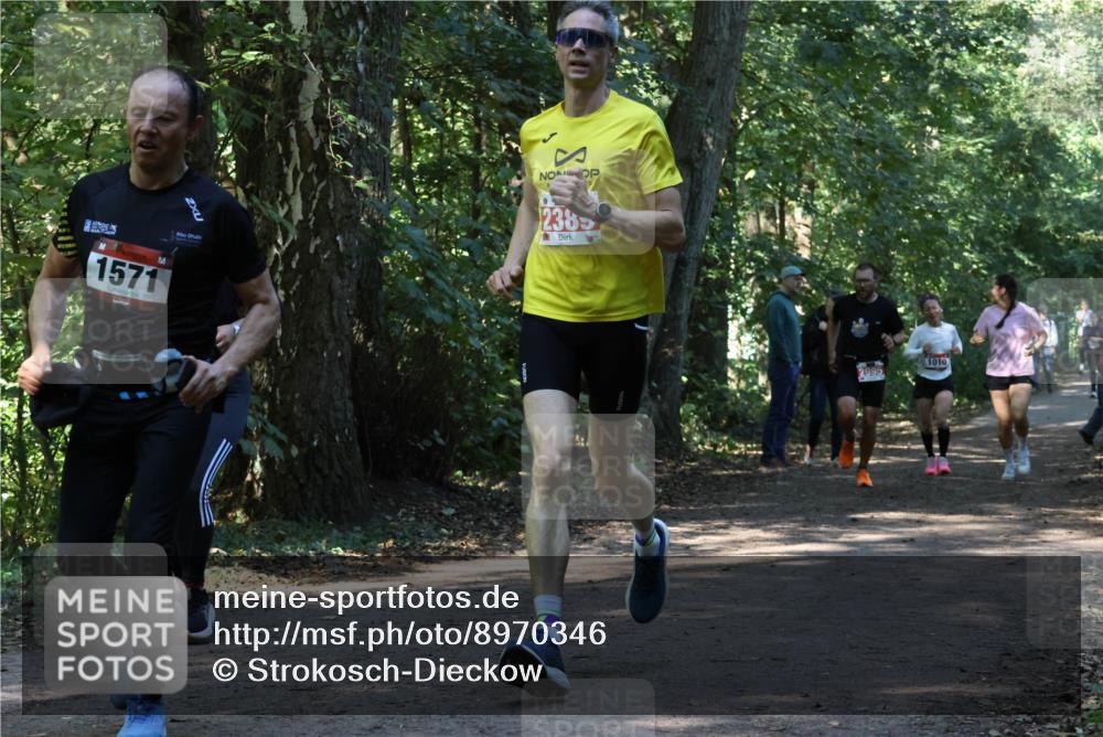 28.09.2025 - 33. Volkslauf durch das schöne Alstertal Strokosch-Dieckow http://msf.ph/oto/8970346 28.09.2025 11:48:52 Laufen 1571, 2385, 2995, 1010 meine-sportfotos.de