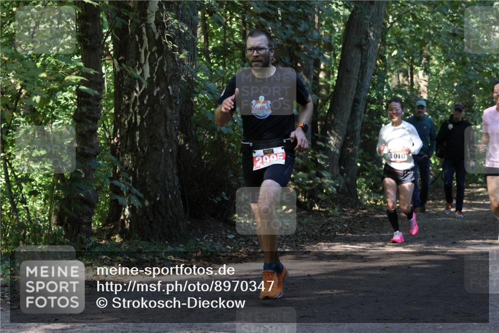 28.09.2025 - 33. Volkslauf durch das schöne Alstertal Strokosch-Dieckow http://msf.ph/oto/8970347 28.09.2025 11:48:56 Laufen 2995, 1010 meine-sportfotos.de