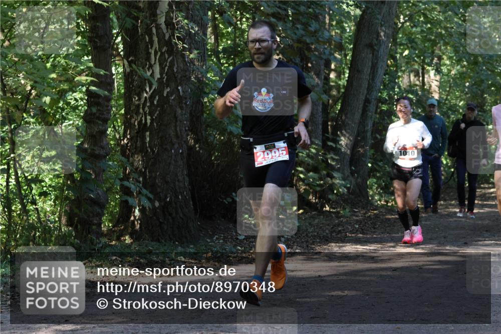 28.09.2025 - 33. Volkslauf durch das schöne Alstertal Strokosch-Dieckow http://msf.ph/oto/8970348 28.09.2025 11:48:56 Laufen 2995, 1010 meine-sportfotos.de